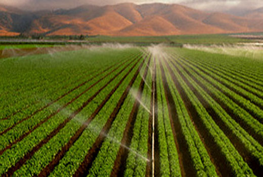 Topogeo Ambiental | Umuarama-Pr